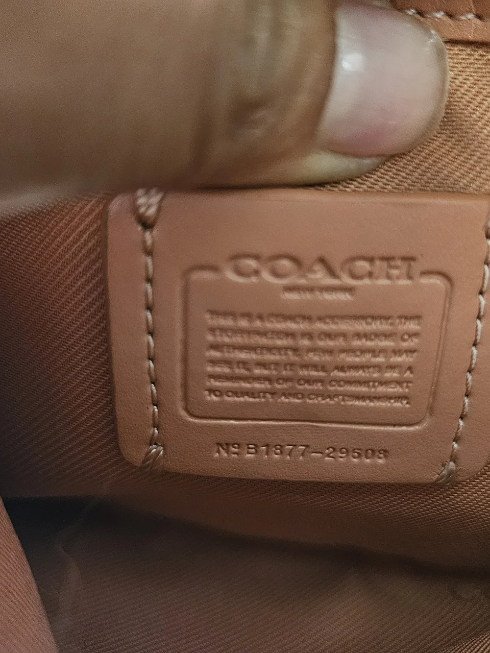 Coach crossbody clutch